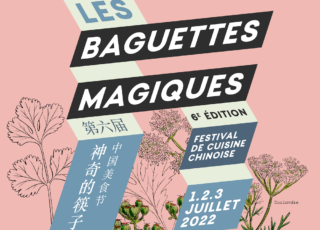 Festival Les Baguettes Magiques 2022 Lyon