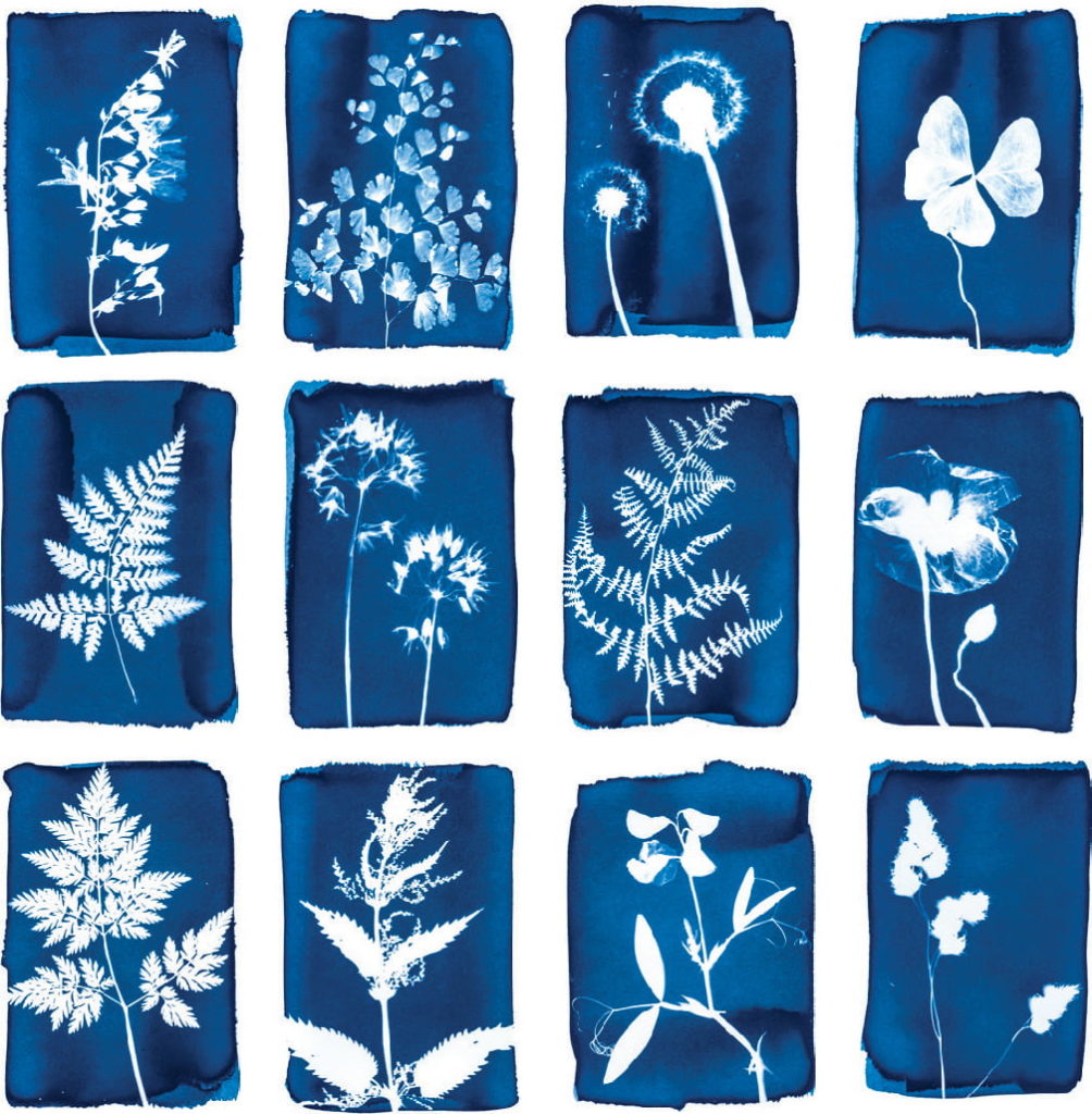 Cyanotype