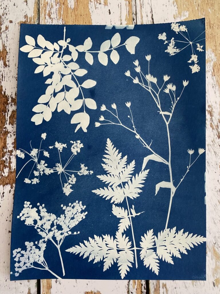 cyanotype tissu NIFC 3
