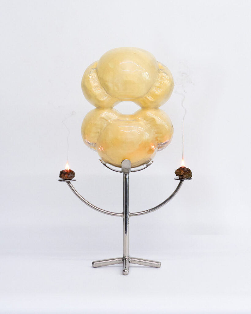 BIPOLLEN DE PIN SUR RE╠üCEPTACLE AVEC BRULEURS DE RE╠üSINE 25-16 03 4_5