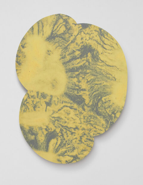 Nuage de pollens, Jonathan Bréchignac