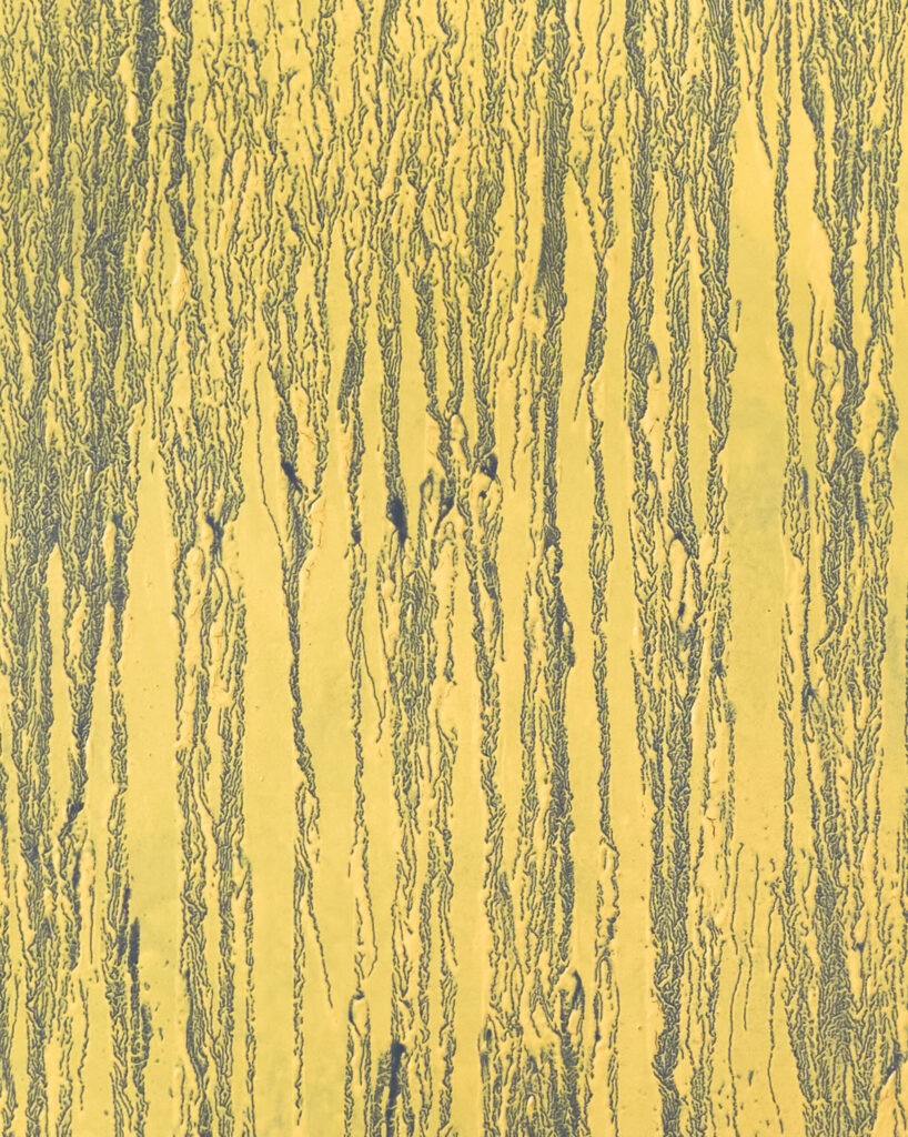 PINEPOLLEN-APRIL25-180X130-DETAIL-4-5-2