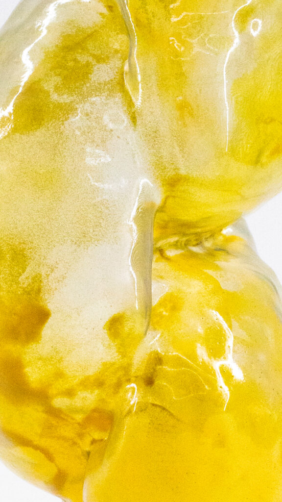 pollen_pin_grain_01 9_16 2